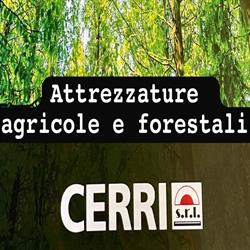 Cerri s.r.l., Fontaneto d'Agogna orari di apertura