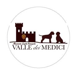 Lagotto Romagnolo Valle dei Medici, Vicchio orari di apertura