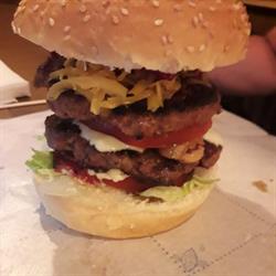 BOSTON PUB & GRILL, Grisolia orari di apertura