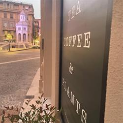 Hanami Leaf, Acqui Terme orari di apertura