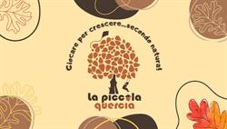 La Piccola Quercia, Catania orari di apertura