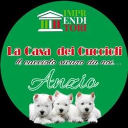 la casa dei cuccioli srls, Anzio orari di apertura