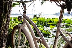 Mantovabikexperience, Marengo orari di apertura