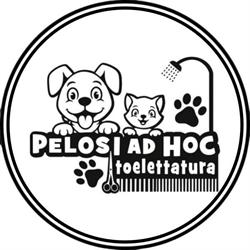 Pelosi ad hoc, San Demetrio ne' Vestini orari di apertura