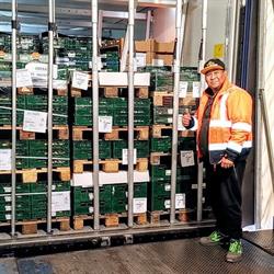 Tradefresh Italia Srl, Zevio orari di apertura