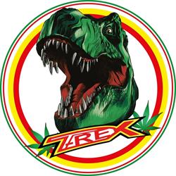 T-REX Canapa Legale, Torvaianica orari di apertura