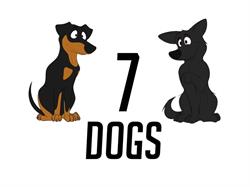 Seven Dogs ASD, Pianiga orari di apertura