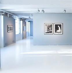 Fondazione Sozzani, Milano orari di apertura