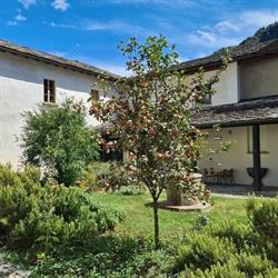 Biblioteca di Chiavenna, orari di apertura