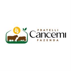 Azienda agricola e trasporti Cancemi, Caltanissetta orari di apertura