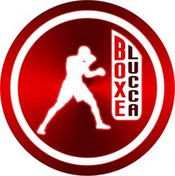 BOXE LUCCA, Lucca orari di apertura