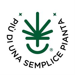 Canapa Farm Società Agricola S.r.l.s. Rome Saint Lawrence, Roma orari di apertura