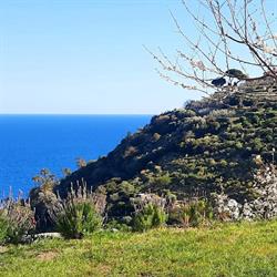 Guesthouse Ilé Ajé, Bordighera orari di apertura