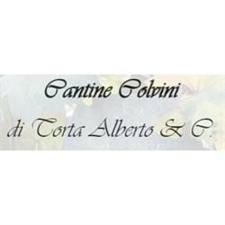 Cantine Colvini - S.a.s. di Torta Alberto & C., La Morra orari di apertura
