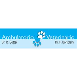 Ambulatorio Veterinario Campagna Lupia, orari di apertura