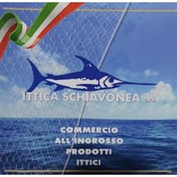 Ittica Schiavonea Ingrosso, Corigliano calabro stazione orari di apertura