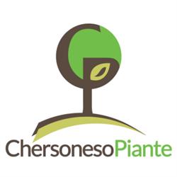 Vivai Chersoneso Piante Produzione di Plumeria e Ornamentali, Milazzo orari di apertura