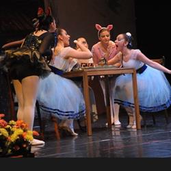 Cubart Ballet ASD Avellino, Centro Storico - Orari di apertura
