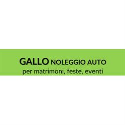 Gallo Noleggio Auto per Matrimoni, Feste ed Eventi, Teggiano orari di apertura
