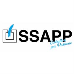San Salvo Appalti spa, orari di apertura