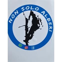 Non solo alberi, Silvi orari di apertura