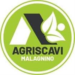 Agriscavi Malagnino, Presicce orari di apertura