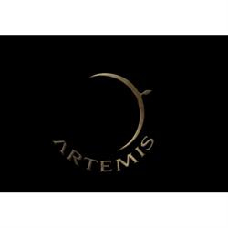 Artemis Consultancy, Firenze orari di apertura