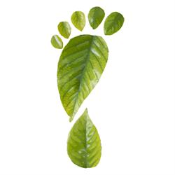 Green Energie, Perugia orari di apertura
