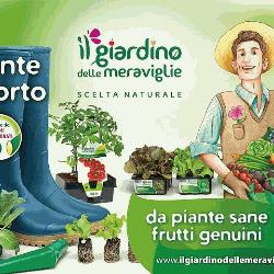 Casa Giardino, Castelvetrano orari di apertura