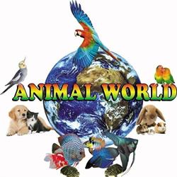 Animal World Pet House, Porto Viro orari di apertura