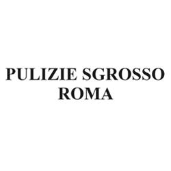 Pulizie Sgrosso Roma, orari di apertura