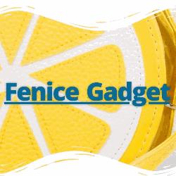 Fenice Gadget, Carpi orari di apertura