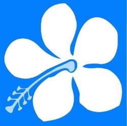 Flower Bike Scuola MTB ASD, Villareggia orari di apertura