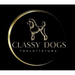 Classy Dogs, Saronno orari di apertura