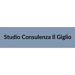 Enavolt-Studio Consulenza Il Giglio, Vinci orari di apertura
