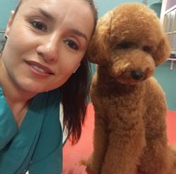 Angela Dog Salon, San Benedetto del Tronto orari di apertura