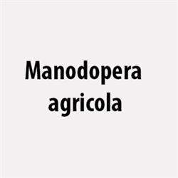 Manodopera agricola, Piacenza orari di apertura