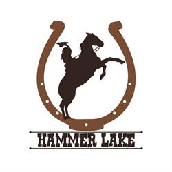 Hammer Lake di Patron Chiara, Venezia orari di apertura