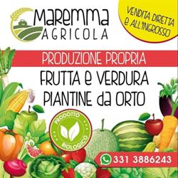 Maremma Agricola srl, Gavorrano orari di apertura