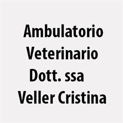 Ambulatorio Veterinario Dott. ssa Veller Cristina, Quinto Vicentino orari di apertura