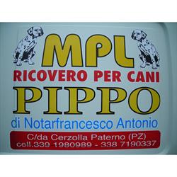 Mpl Ricovero per Cani Pippo, Paterno orari di apertura