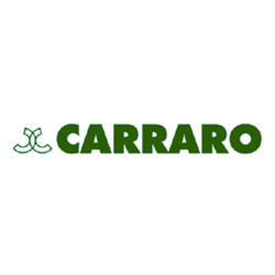 Casa Funeraria Carraro, Villanova di Camposampiero orari di apertura