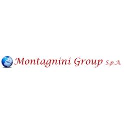 Montagnini Group di Montagnini Fabrizio, Trino orari di apertura