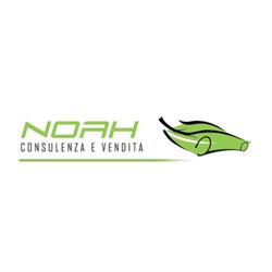 Noah Srls Consulenza e Vendita, Aosta orari di apertura