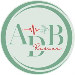 Adb Rescue Formazione & Assistenza, Fano orari di apertura