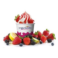 Yogurtlandia, Ossi orari di apertura