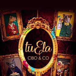 Ristorante Tuela Cibo & Co, Cutrofiano orari di apertura