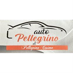 Pellegrino Auto, Catanzaro lido orari di apertura