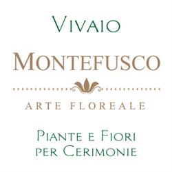 Vivaio MONTEFUSCO Arte Floreale - Piante e Fiori per Cerimonie, Sant'Antonio Abate orari di apertura