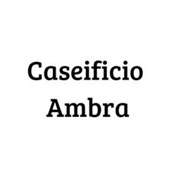 Caseificio Ambra, Torino orari di apertura